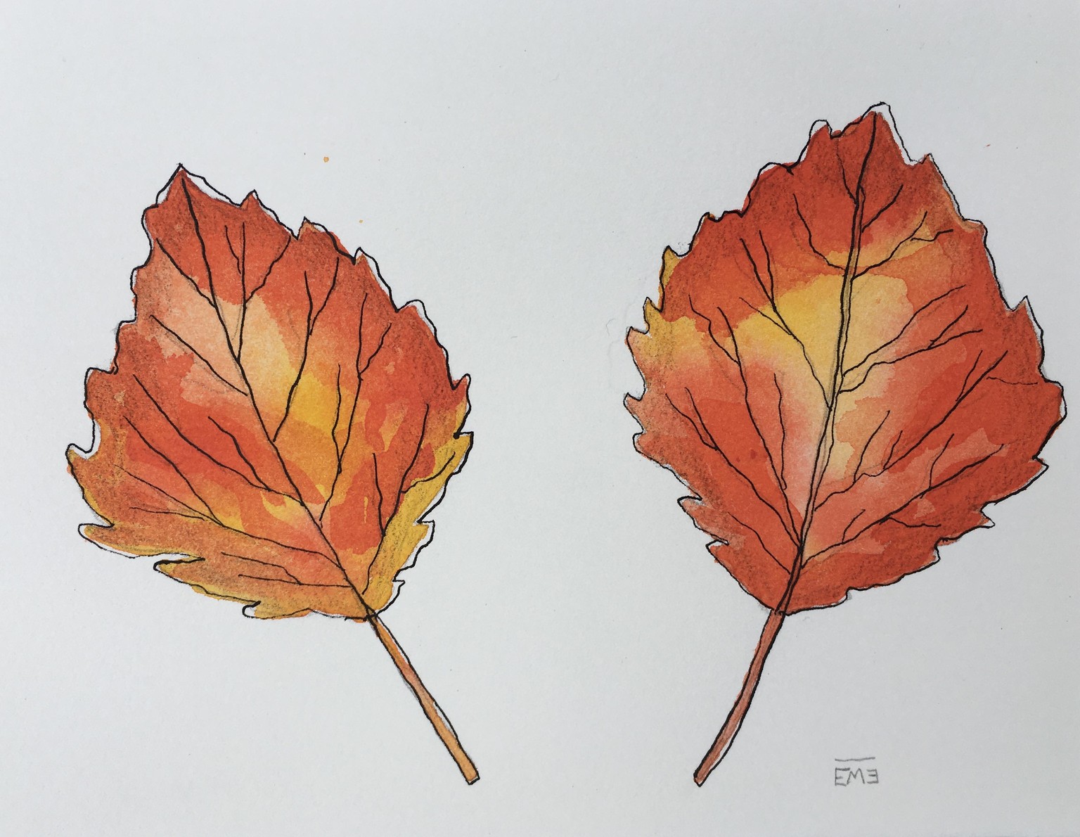 Autumn Leaves - image 1 - student project