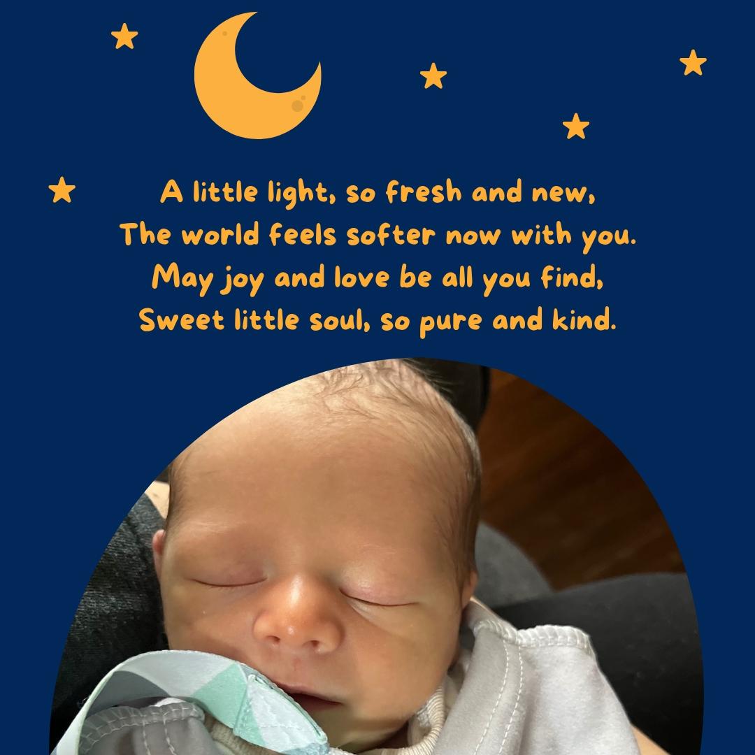 Canva things - image 3 - student project