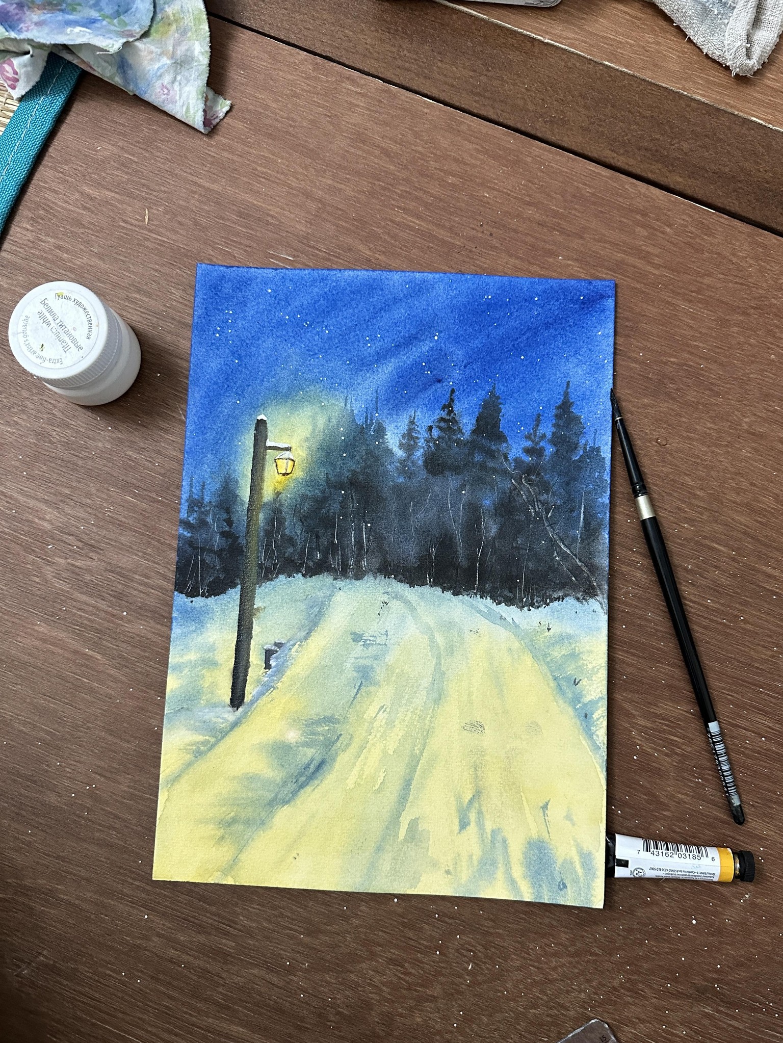 Winter landscapes in watercolour A 12 day challenge - image 6 - student project