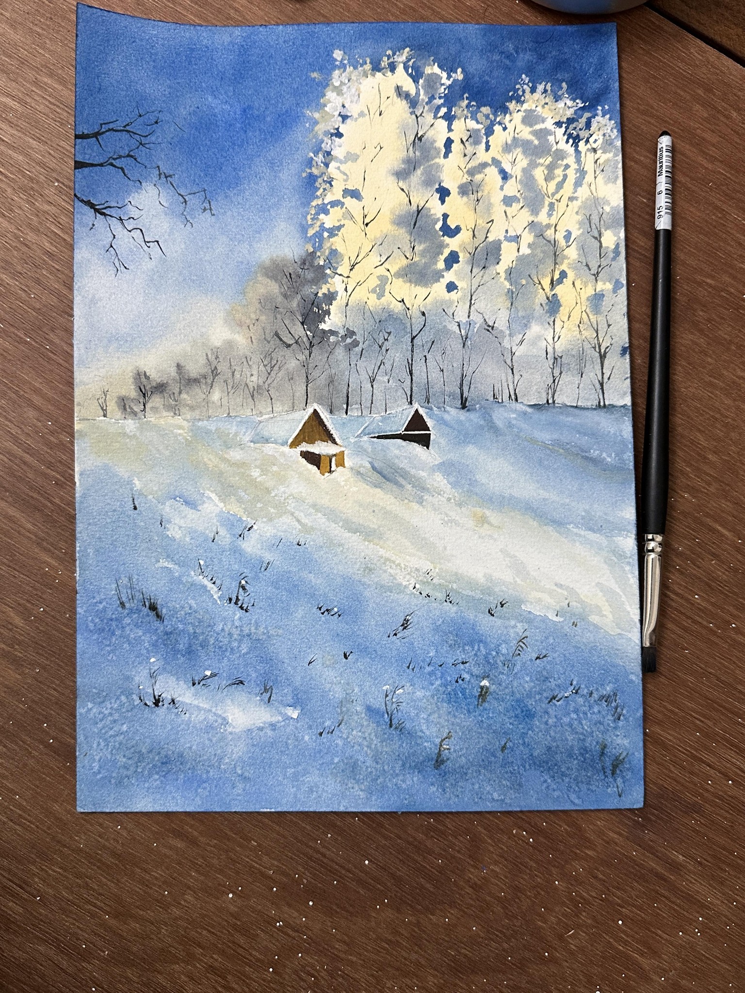 Winter landscapes in watercolour A 12 day challenge - image 1 - student project