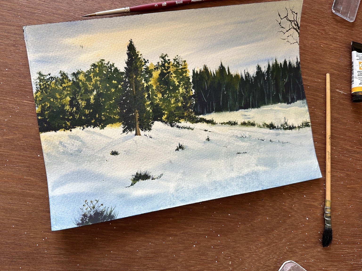 Winter landscapes in watercolour A 12 day challenge - image 3 - student project