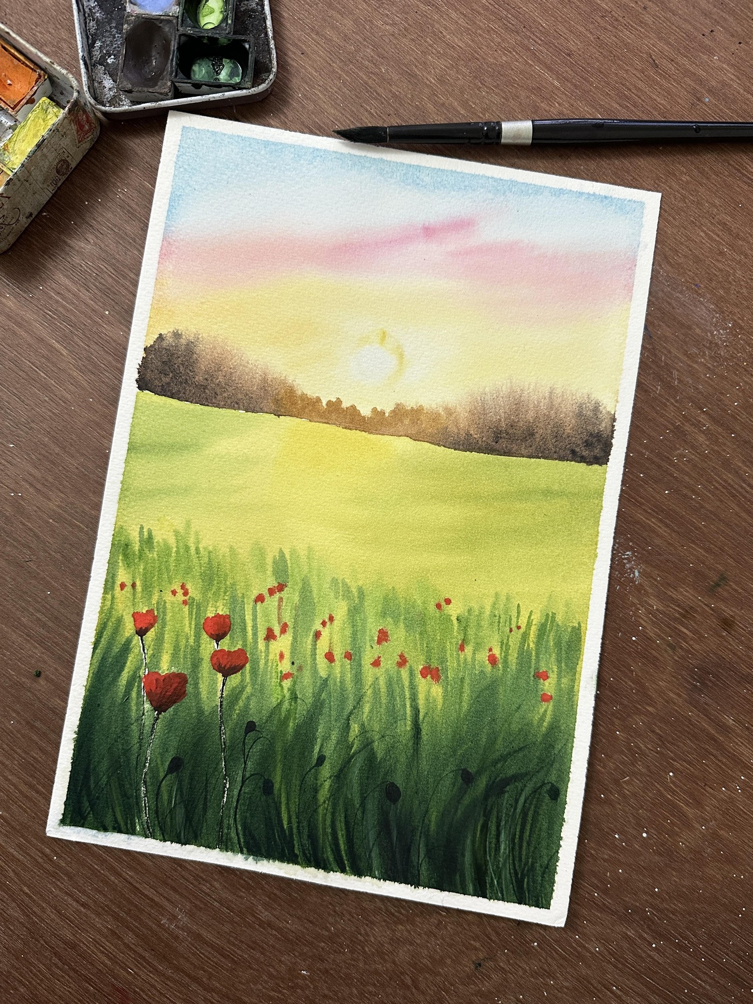 Spring Poppy Meadow using watercolours - image 1 - student project