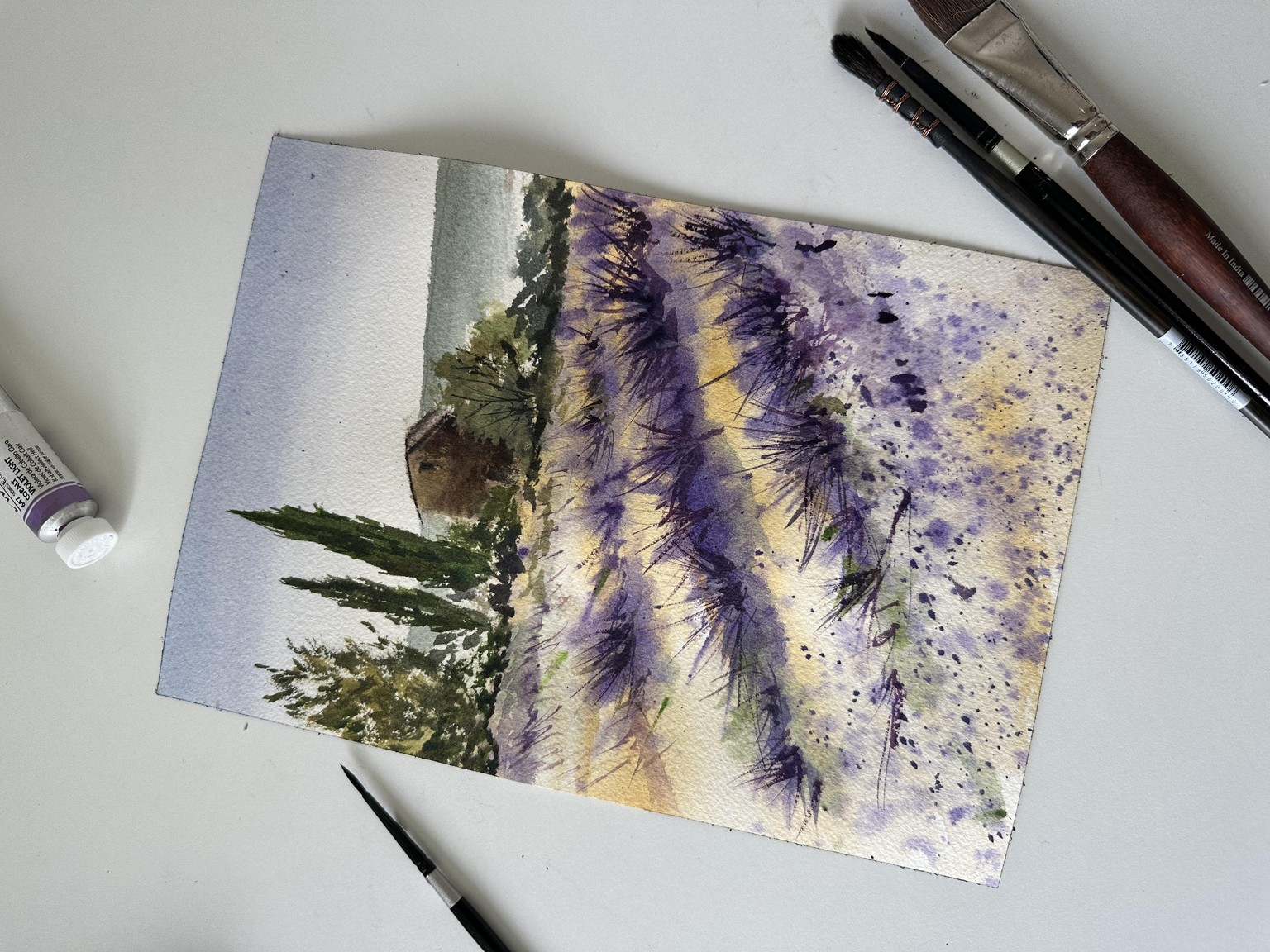 Lavender field in Provence - image 1 - student project