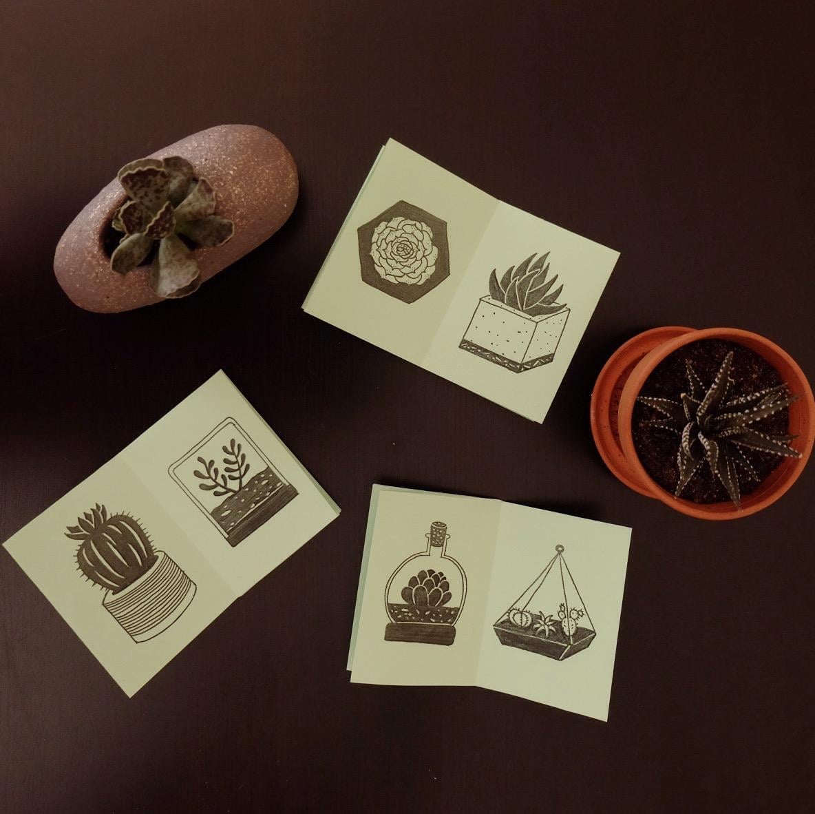 Succulents & Cactuses Zine - image 5 - student project