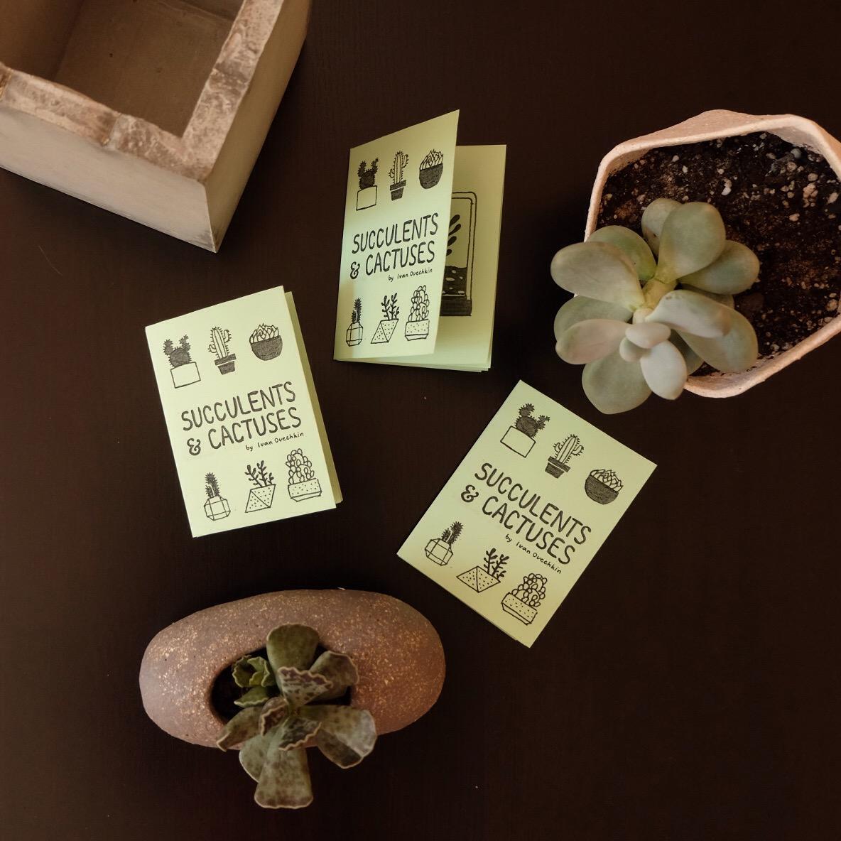 Succulents & Cactuses Zine - image 4 - student project