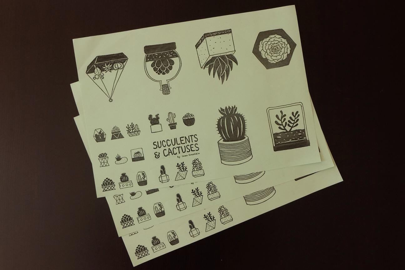 Succulents & Cactuses Zine - image 3 - student project
