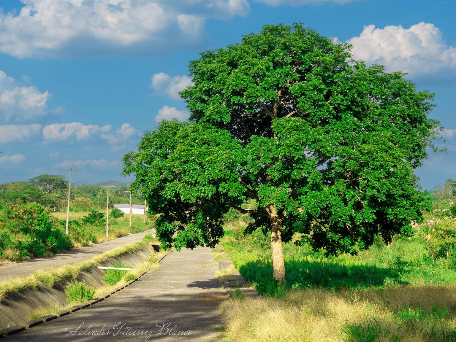 When Nature Blends Modernity - image 1 - student project