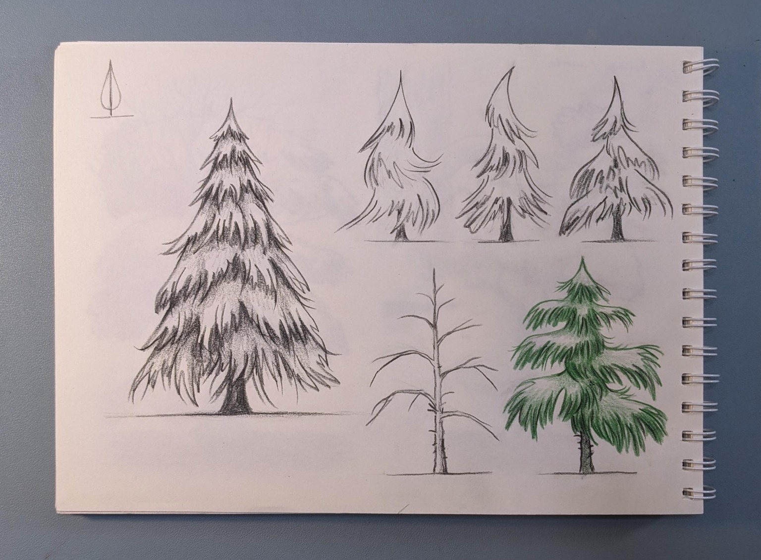 Tree painting homework - image 5 - student project
