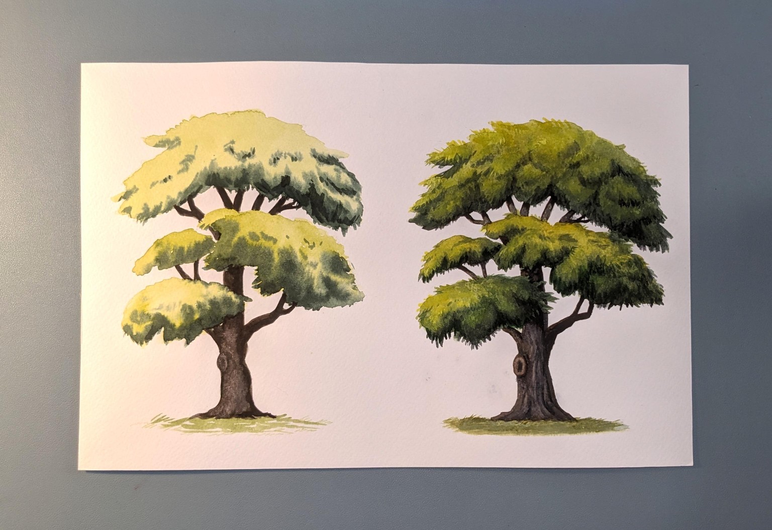 Tree painting homework - image 6 - student project