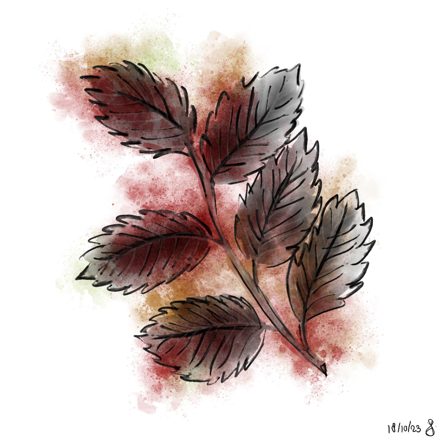 Fall '23 - image 1 - student project
