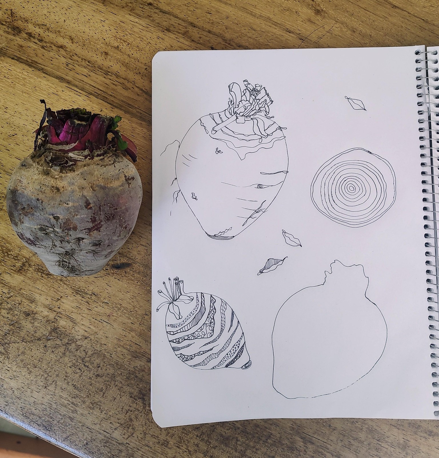 Sketches - image 1 - student project