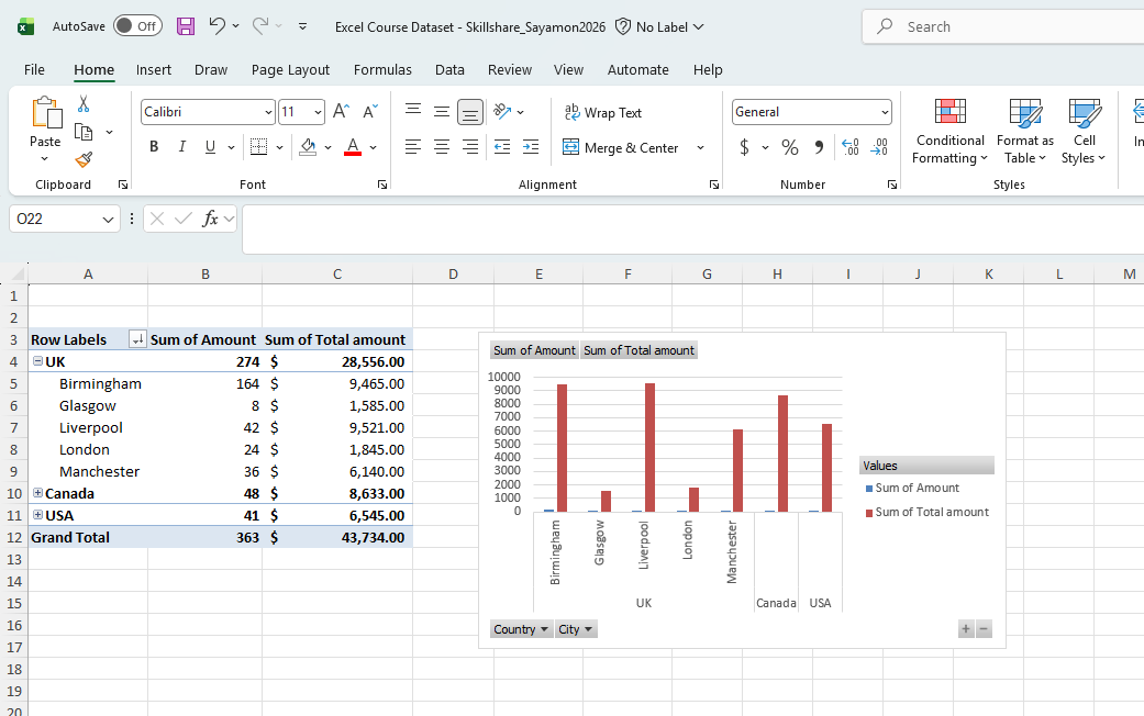 Excel for Data Analysis_2026 - image 2 - student project