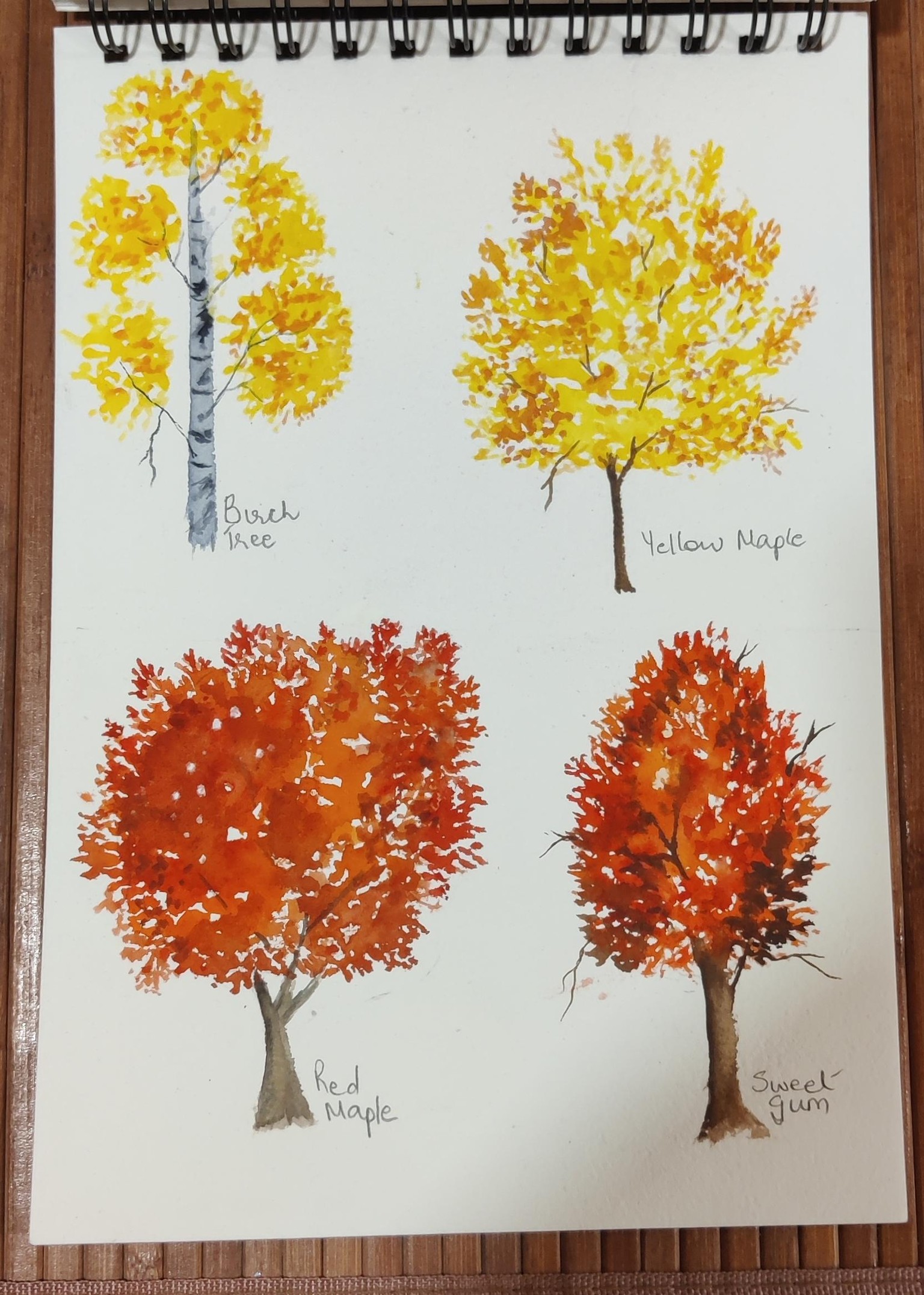 Painting Autumn Trees with Z - image 2 - student project