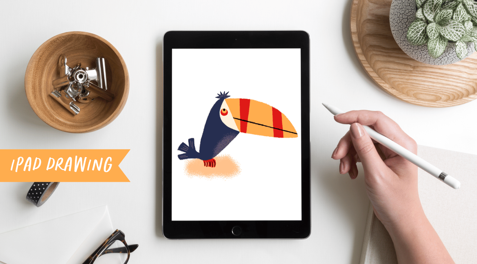 Toucan Sketch to IPad Drawing - image 2 - student project