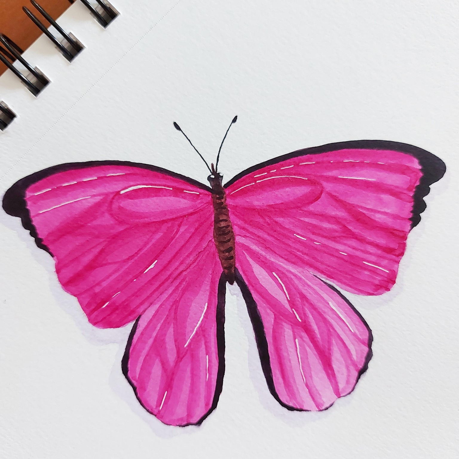 Butterfly - painting with Irina - image 3 - student project
