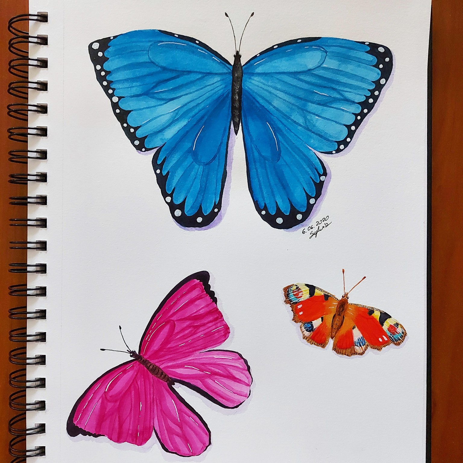 Butterfly - painting with Irina - image 1 - student project