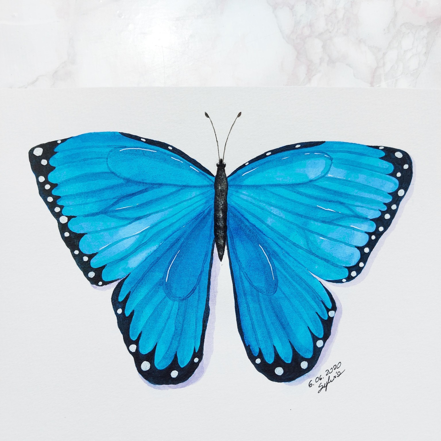 Butterfly - painting with Irina - image 2 - student project