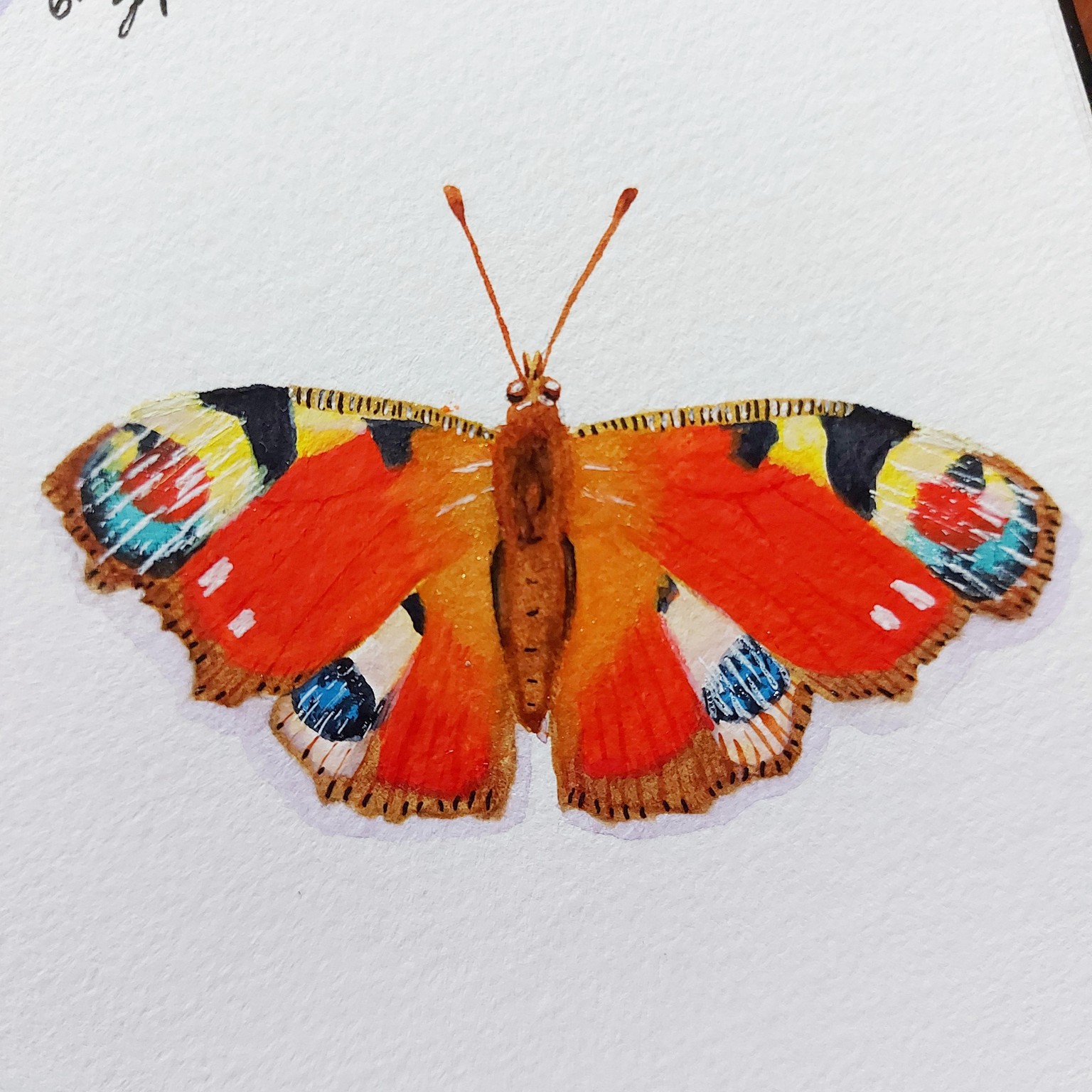 Butterfly - painting with Irina - image 4 - student project