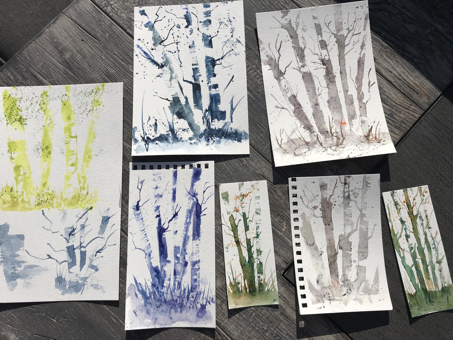 Birch Trees - image 1 - student project