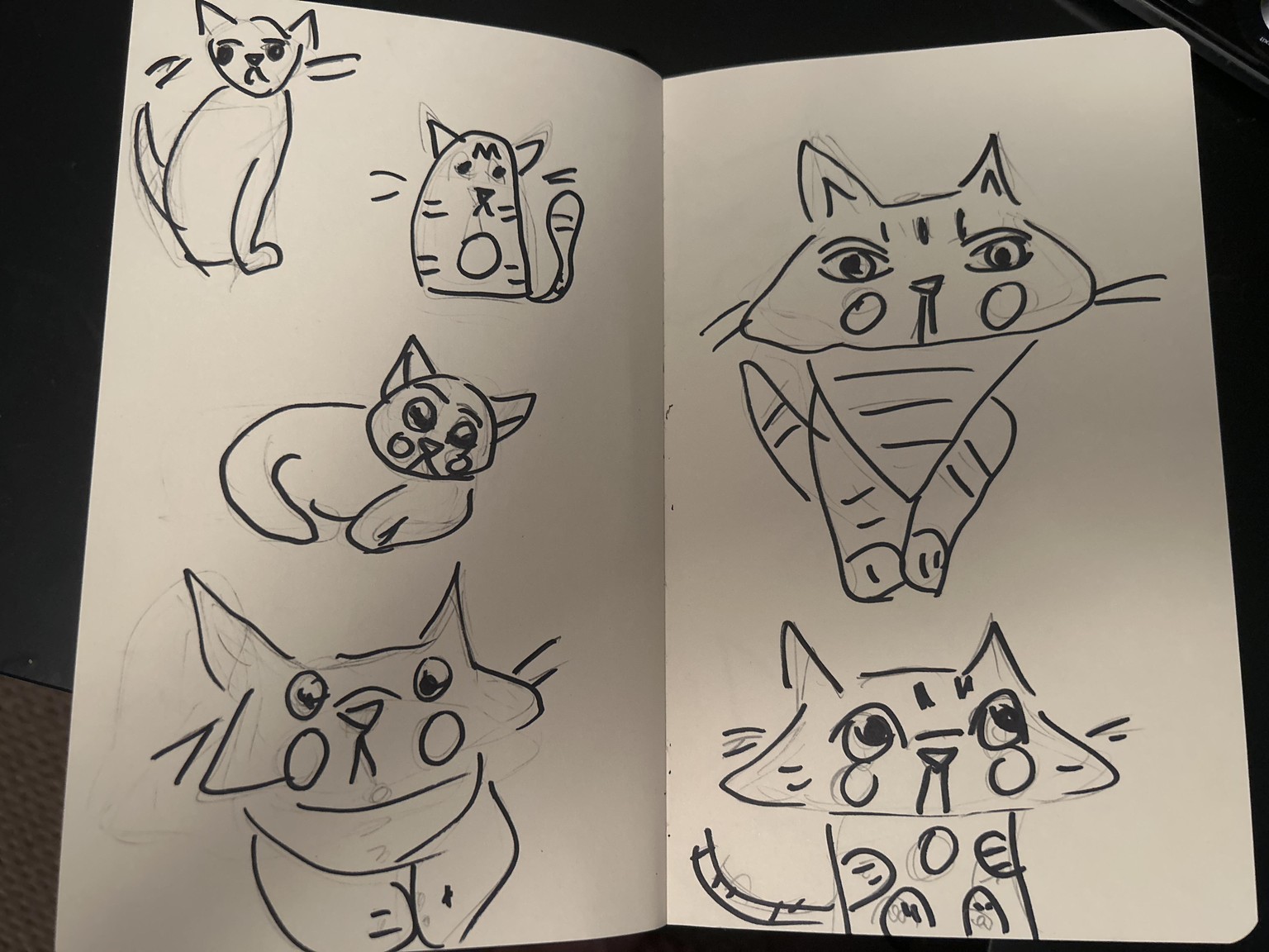 Cute cats - image 1 - student project