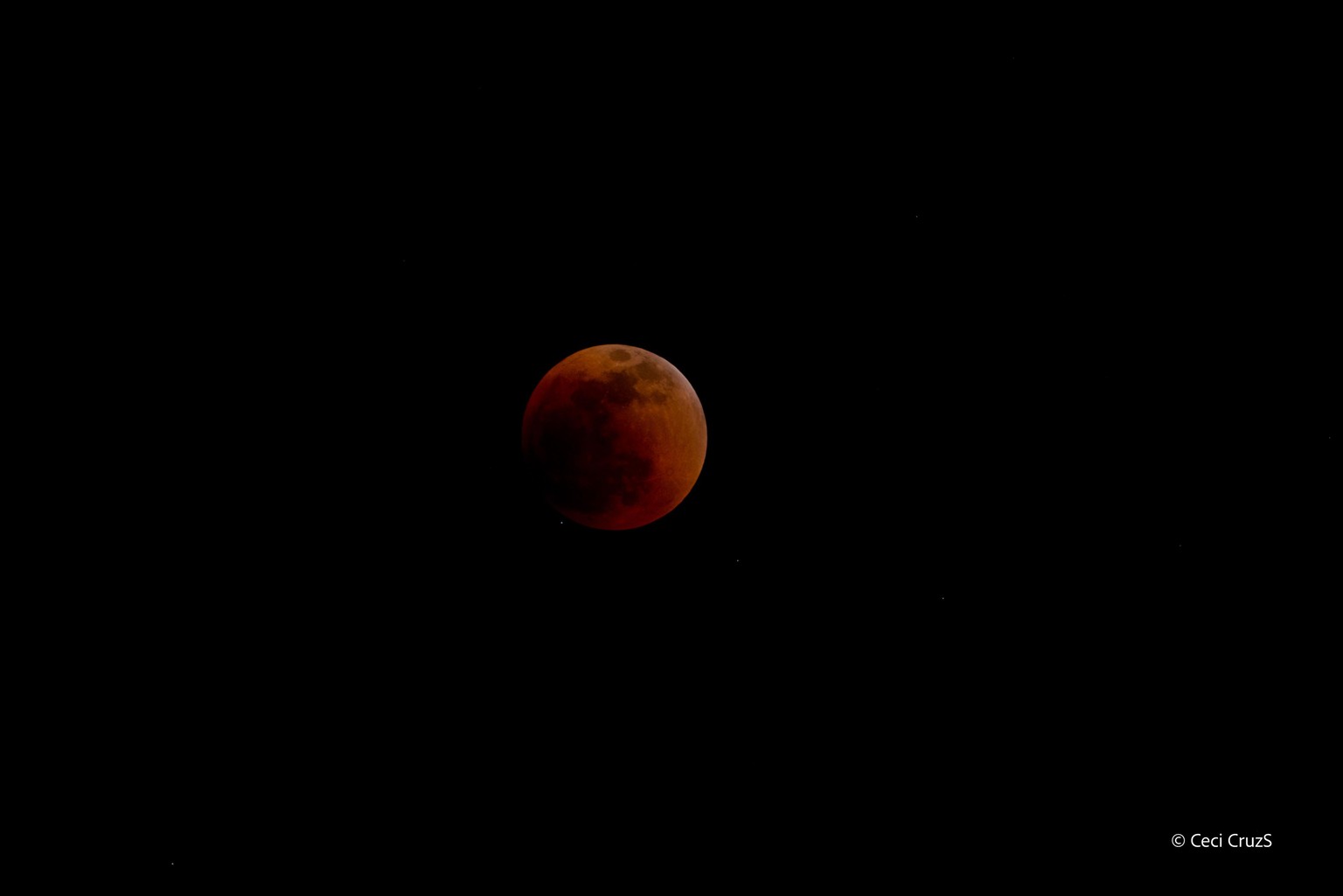 Luz de atardecer, ojo de pez y eclipse lunar - image 2 - student project