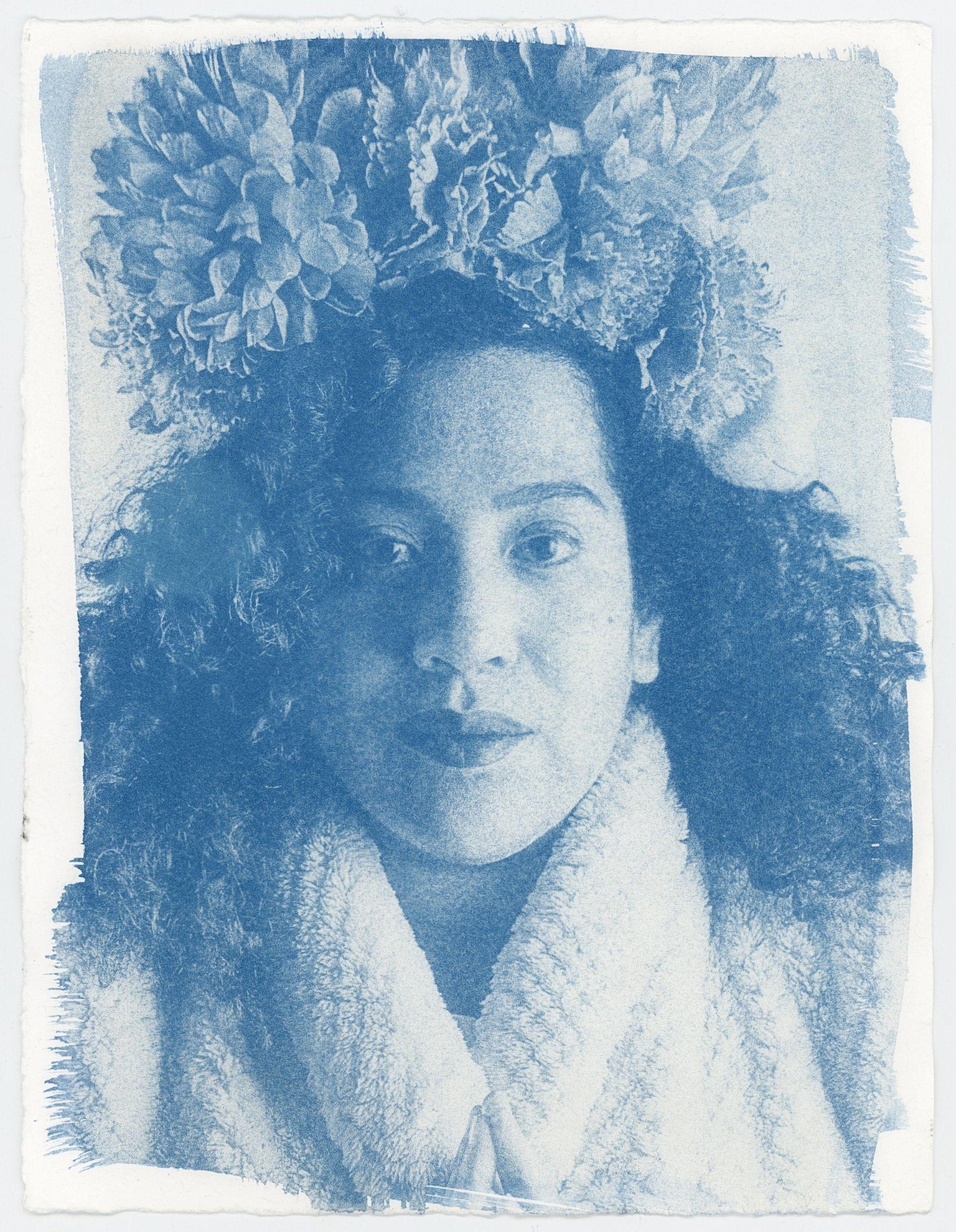 My Cyanotype Prints - image 2 - student project