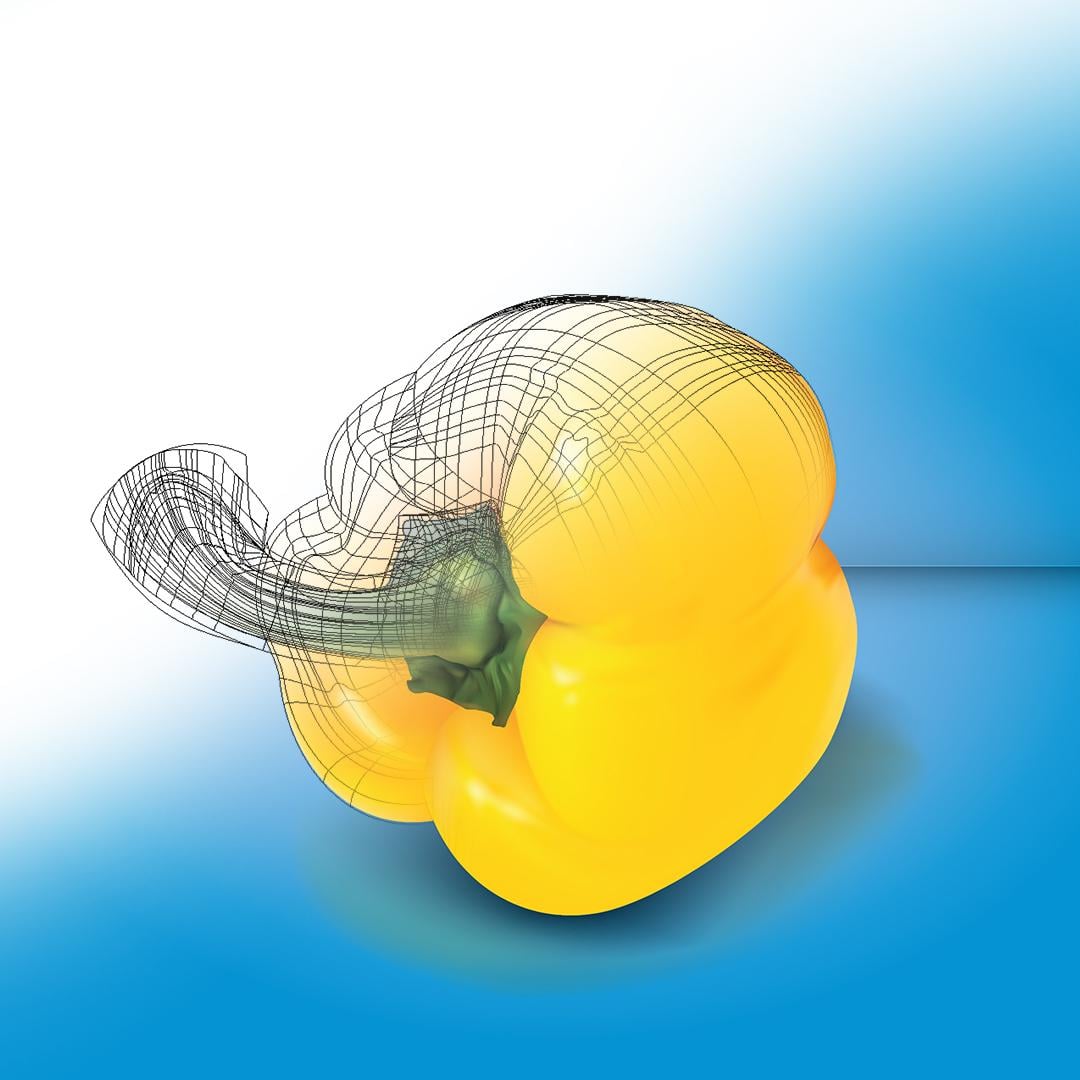 Vector Pepper - image 1 - student project