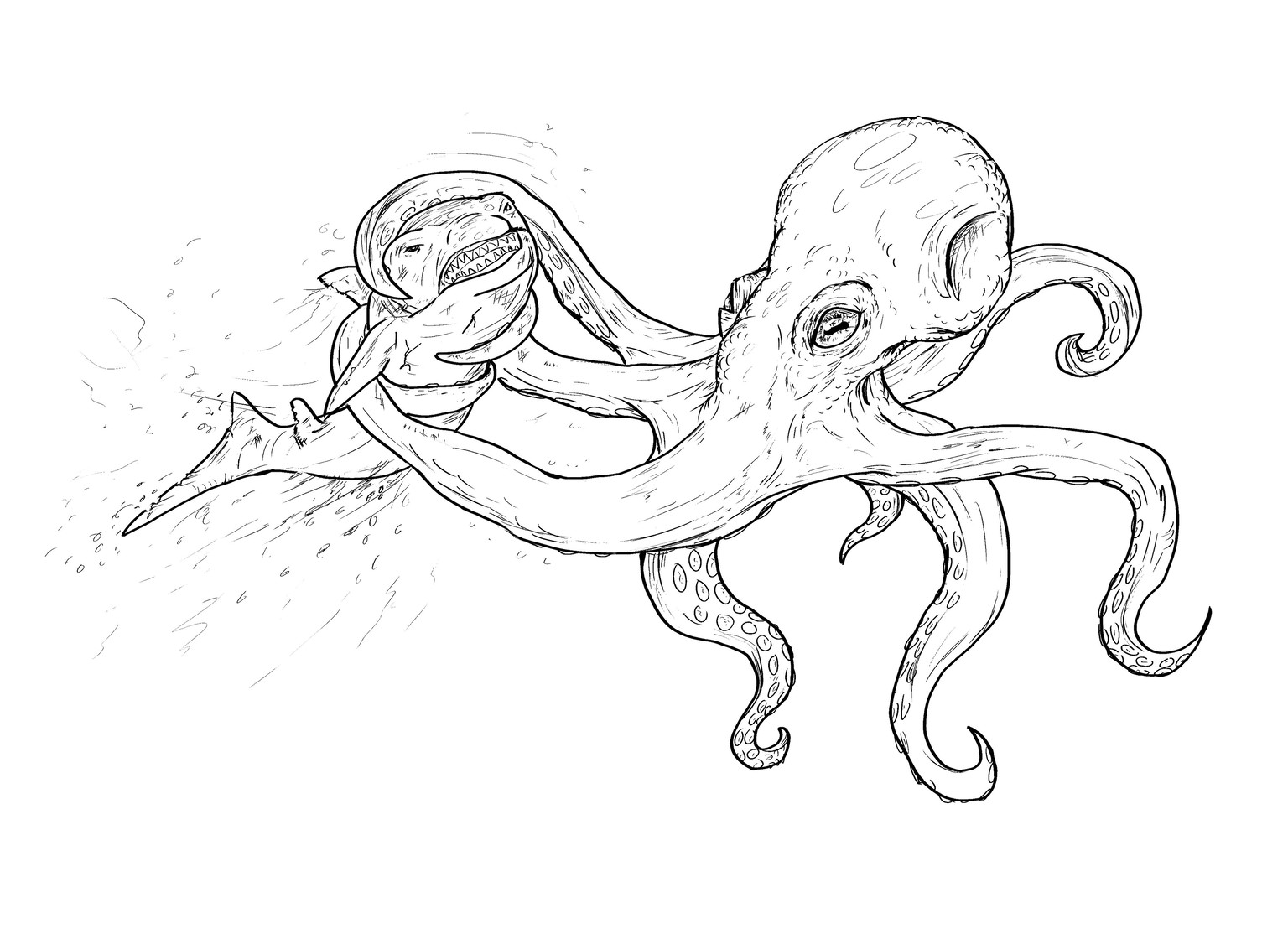 Octopus Attacks Shark - image 2 - student project
