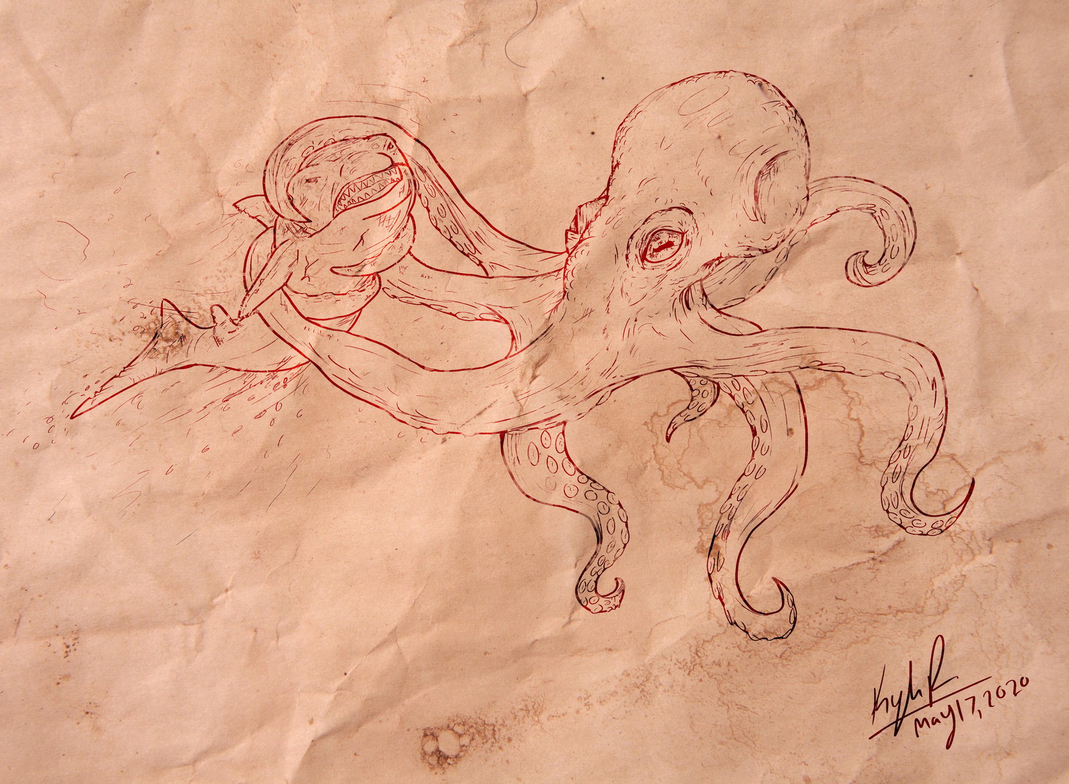 Octopus Attacks Shark - image 1 - student project