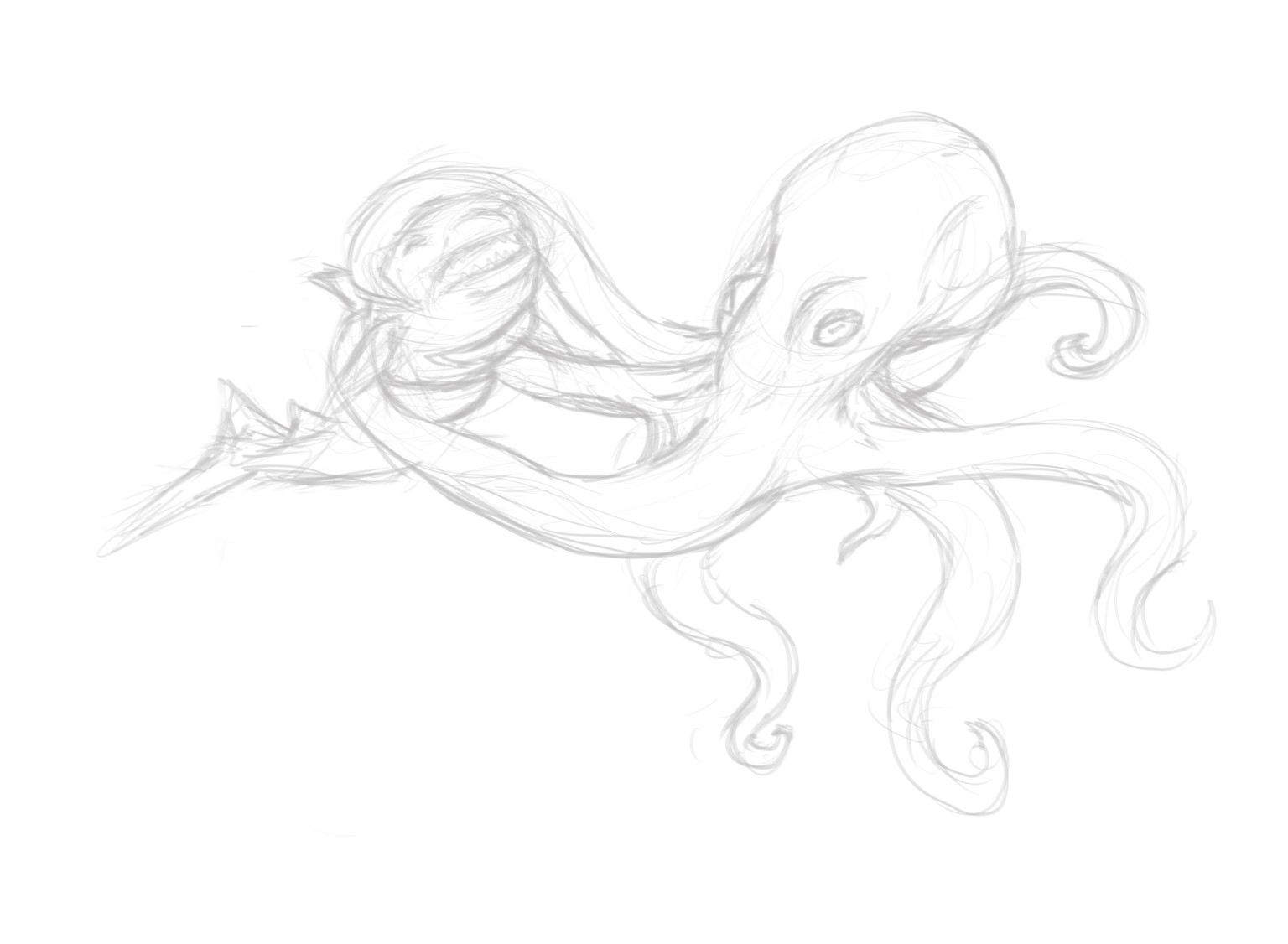 Octopus Attacks Shark - image 3 - student project