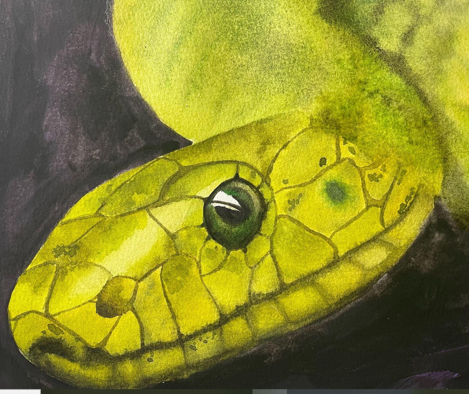First Reptile - image 1 - student project
