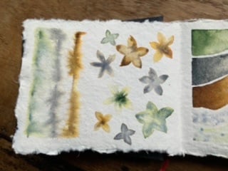 Dispersal Raindrops - image 1 - student project