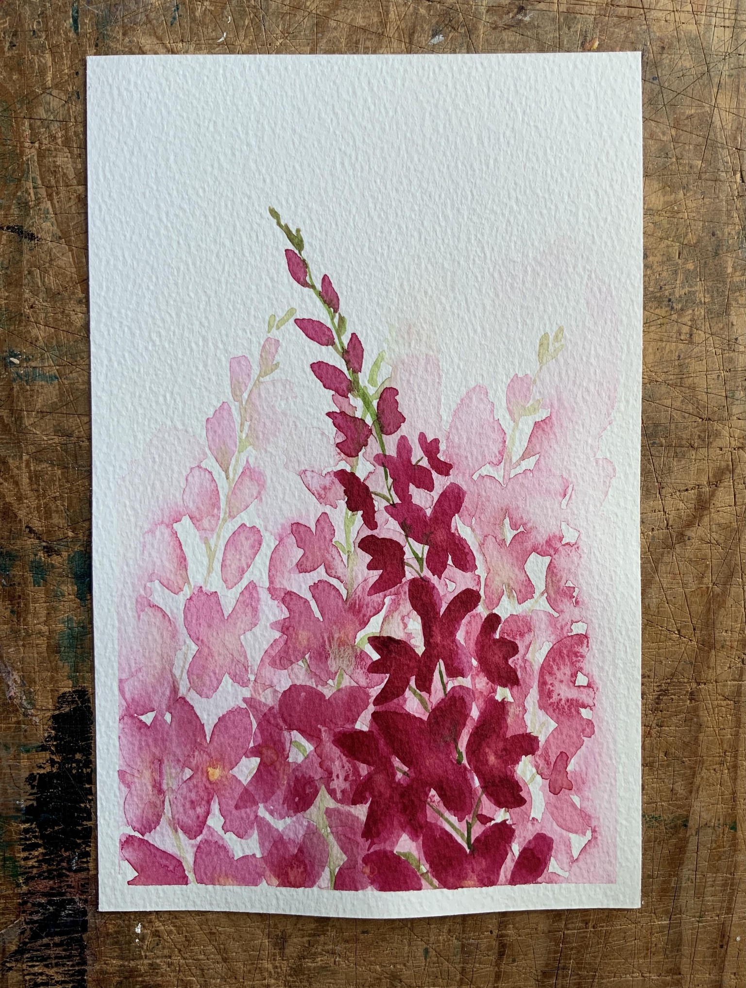 Loose Snapdragons - image 2 - student project