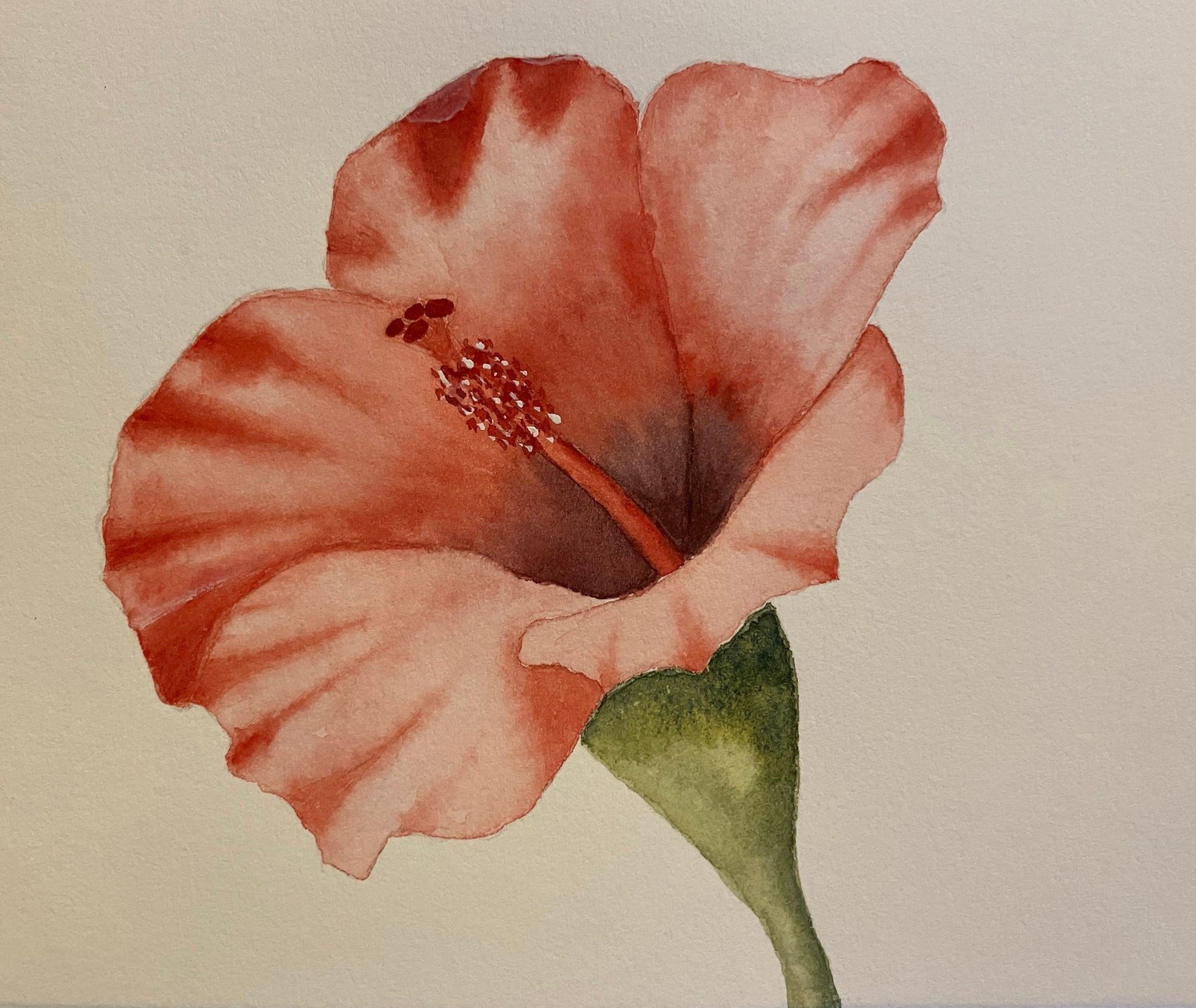 Floralscapes - image 3 - student project