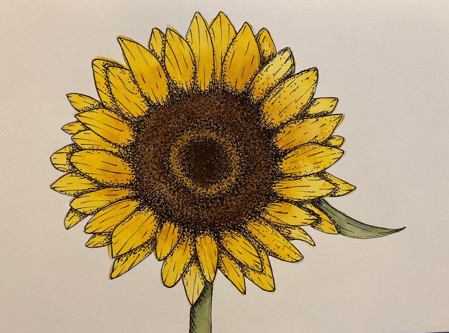 Floralscapes - image 7 - student project