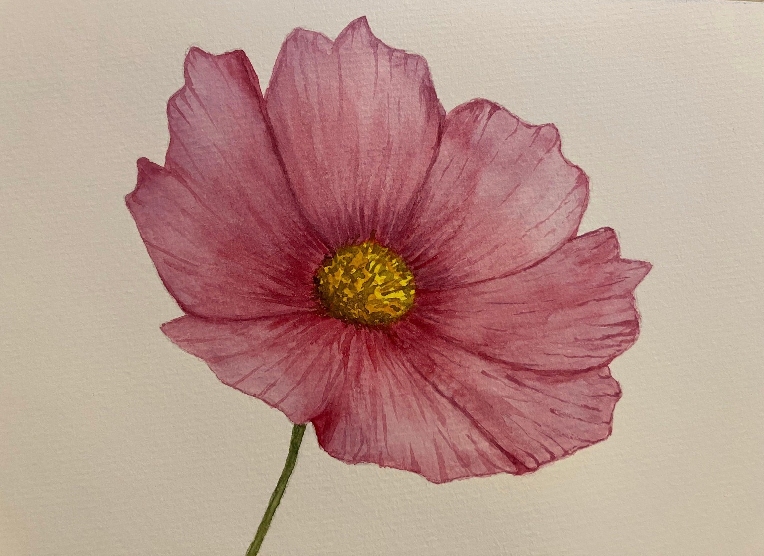 Floralscapes - image 8 - student project
