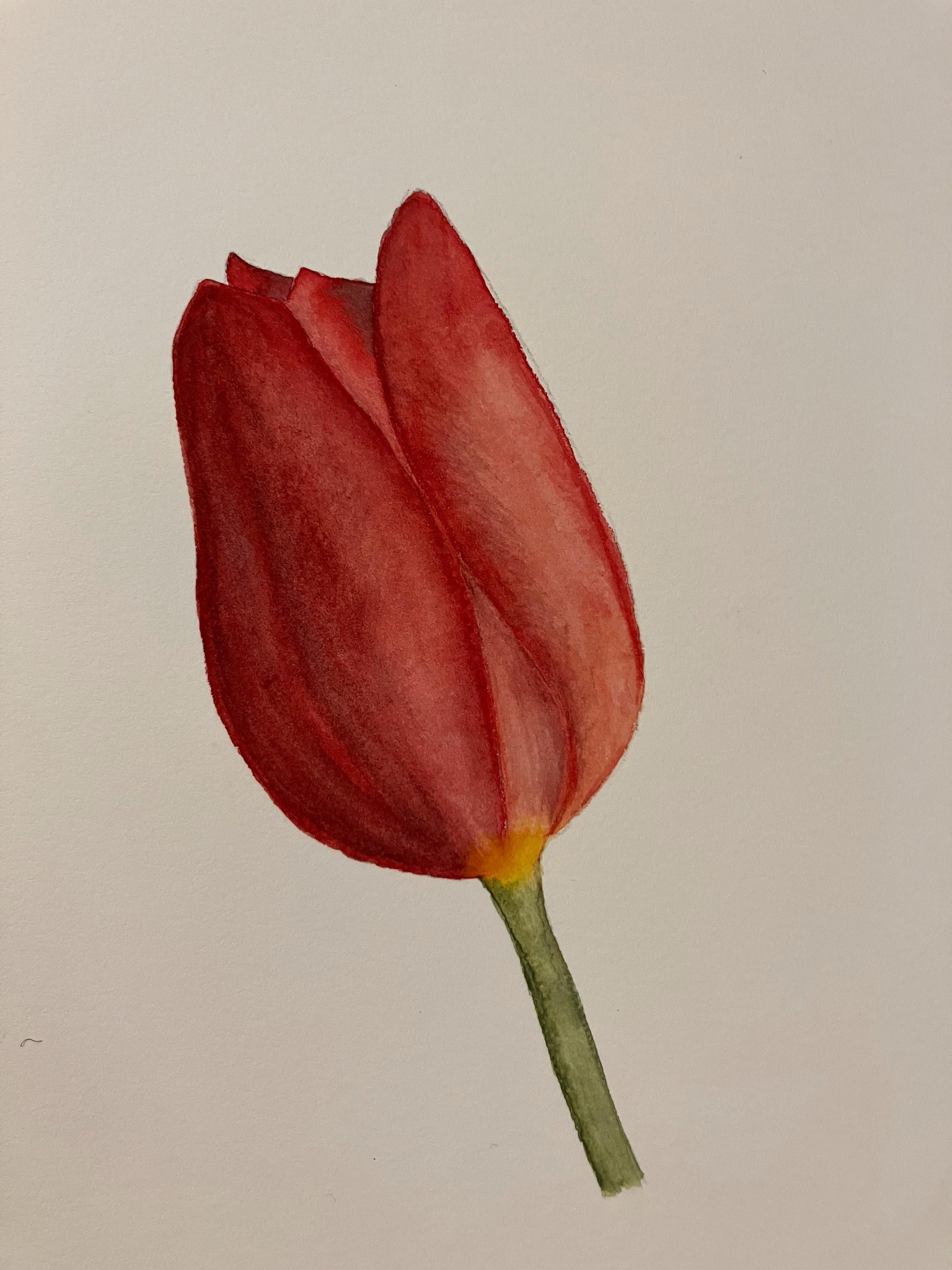 Floralscapes - image 10 - student project