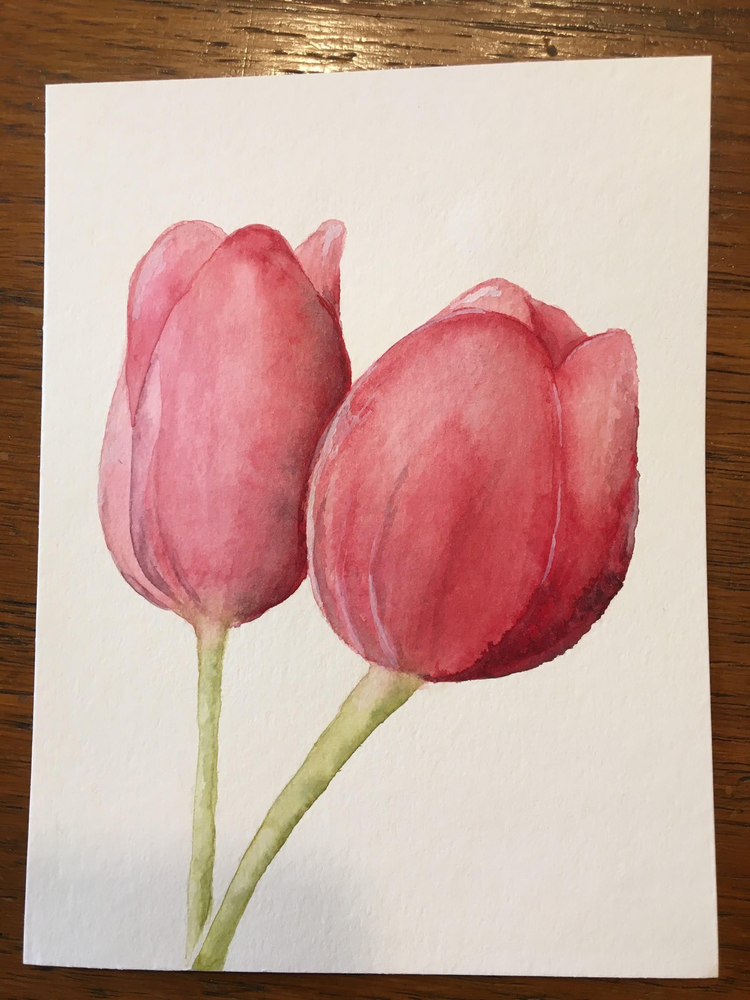 Tulips - image 1 - student project