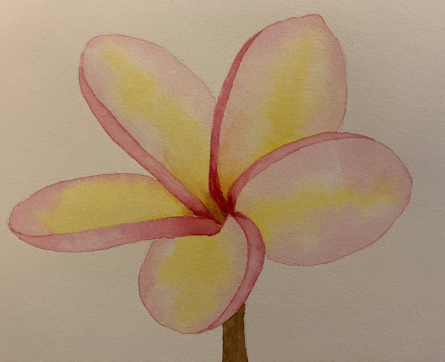 Floralscapes - image 2 - student project