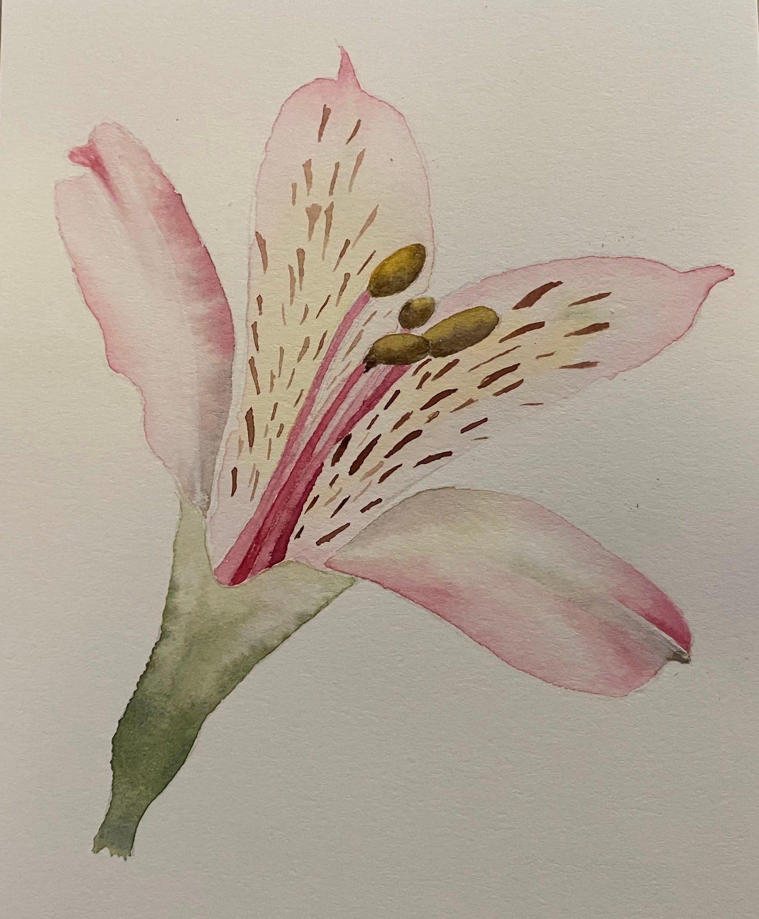 Floralscapes - image 5 - student project