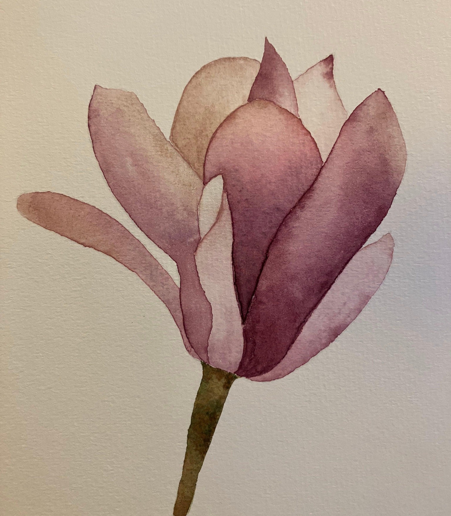 Floralscapes - image 4 - student project