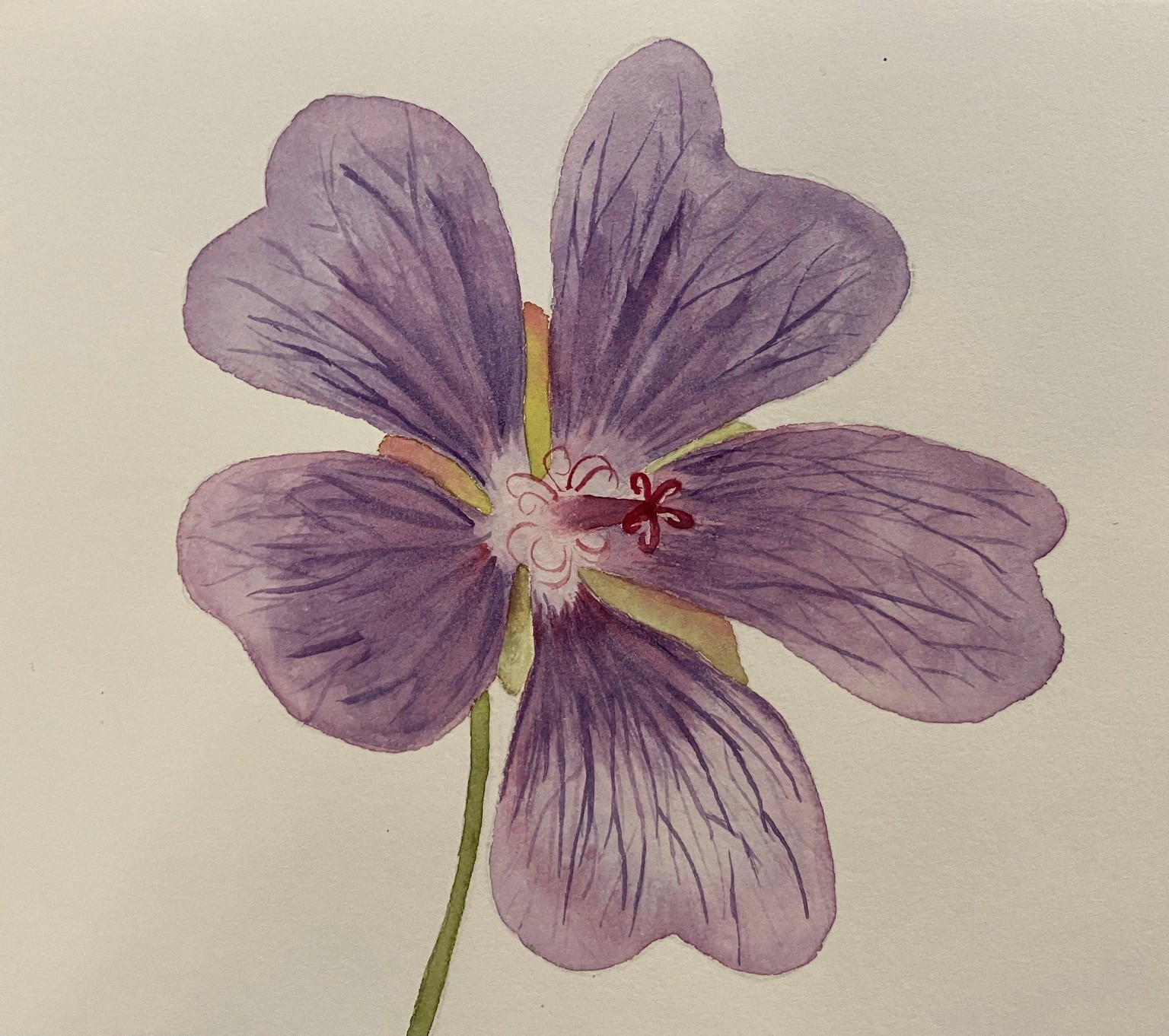 Floralscapes - image 6 - student project