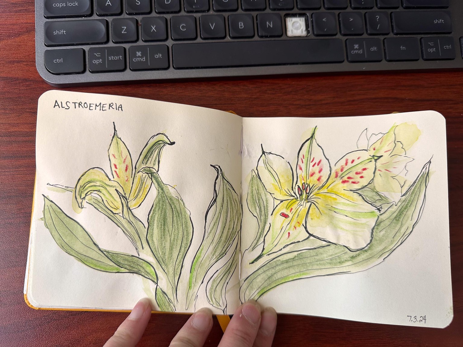 100 Days of Drawing: In Progress - image 27 - student project