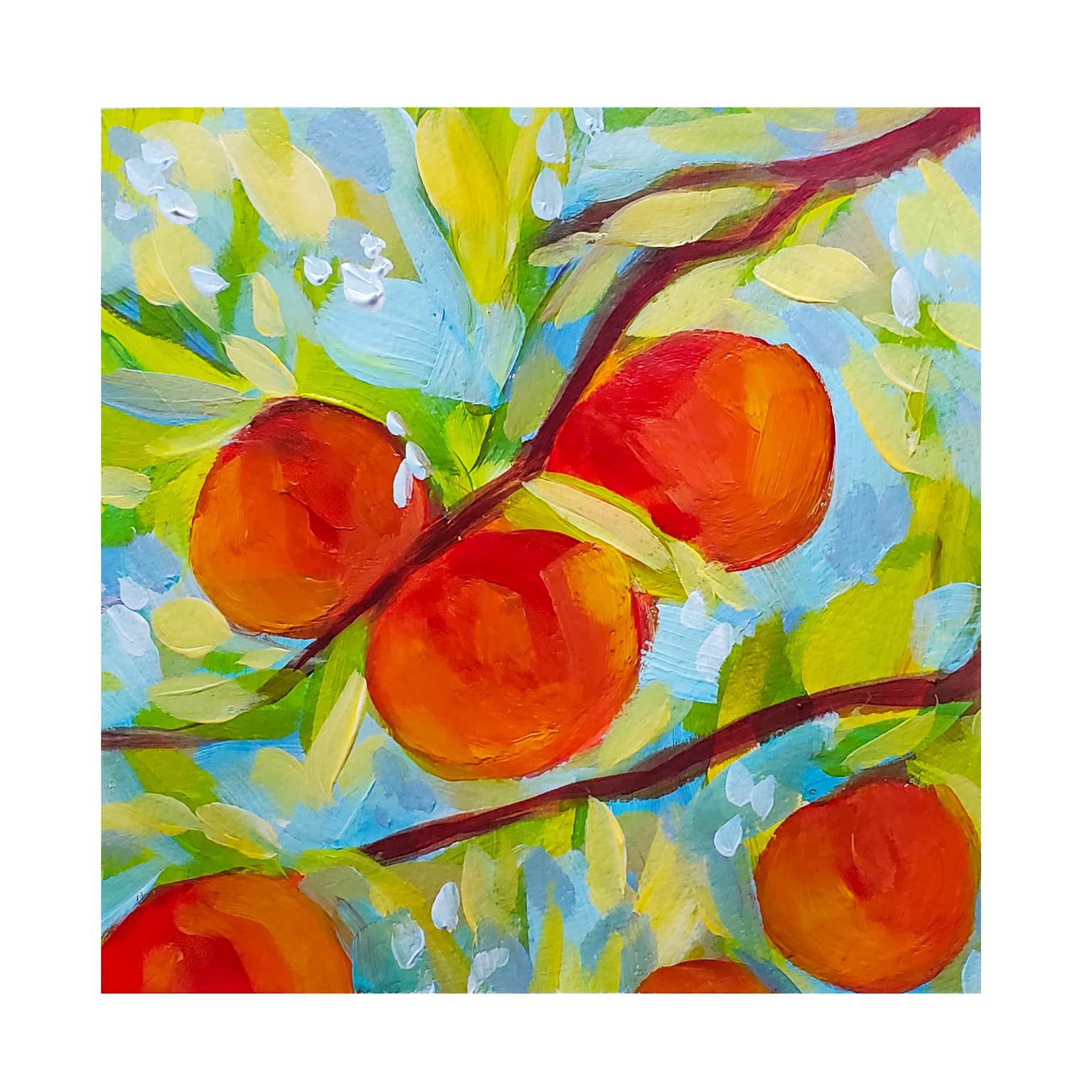 Peaches - image 1 - student project