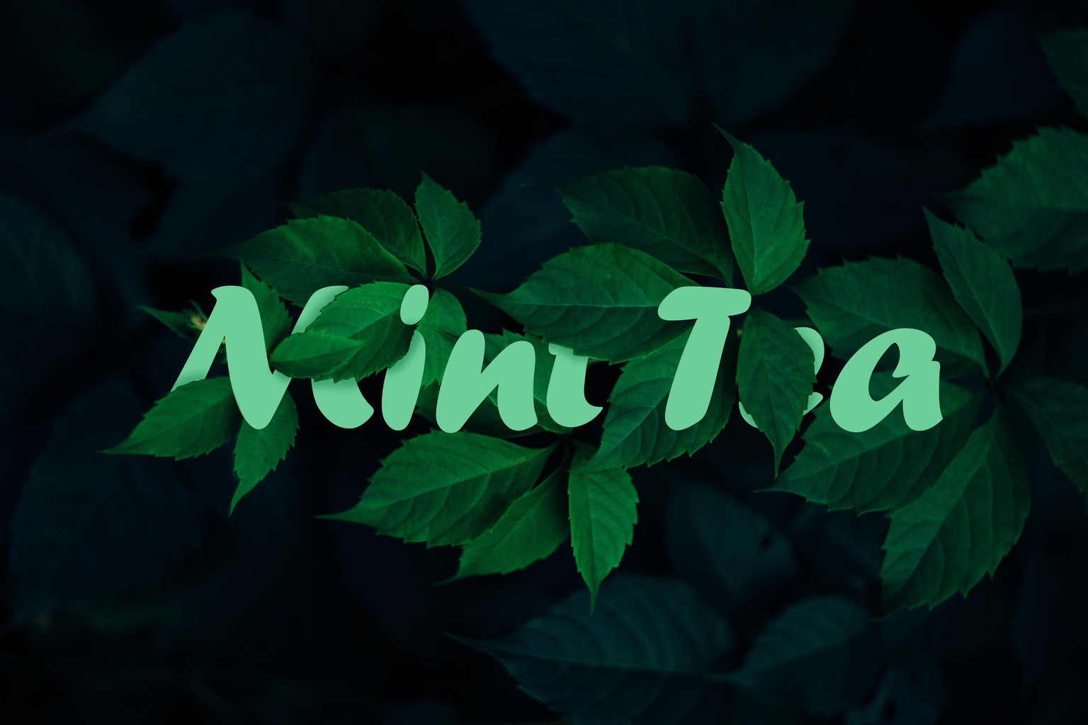 My Examples - image 20 - student project