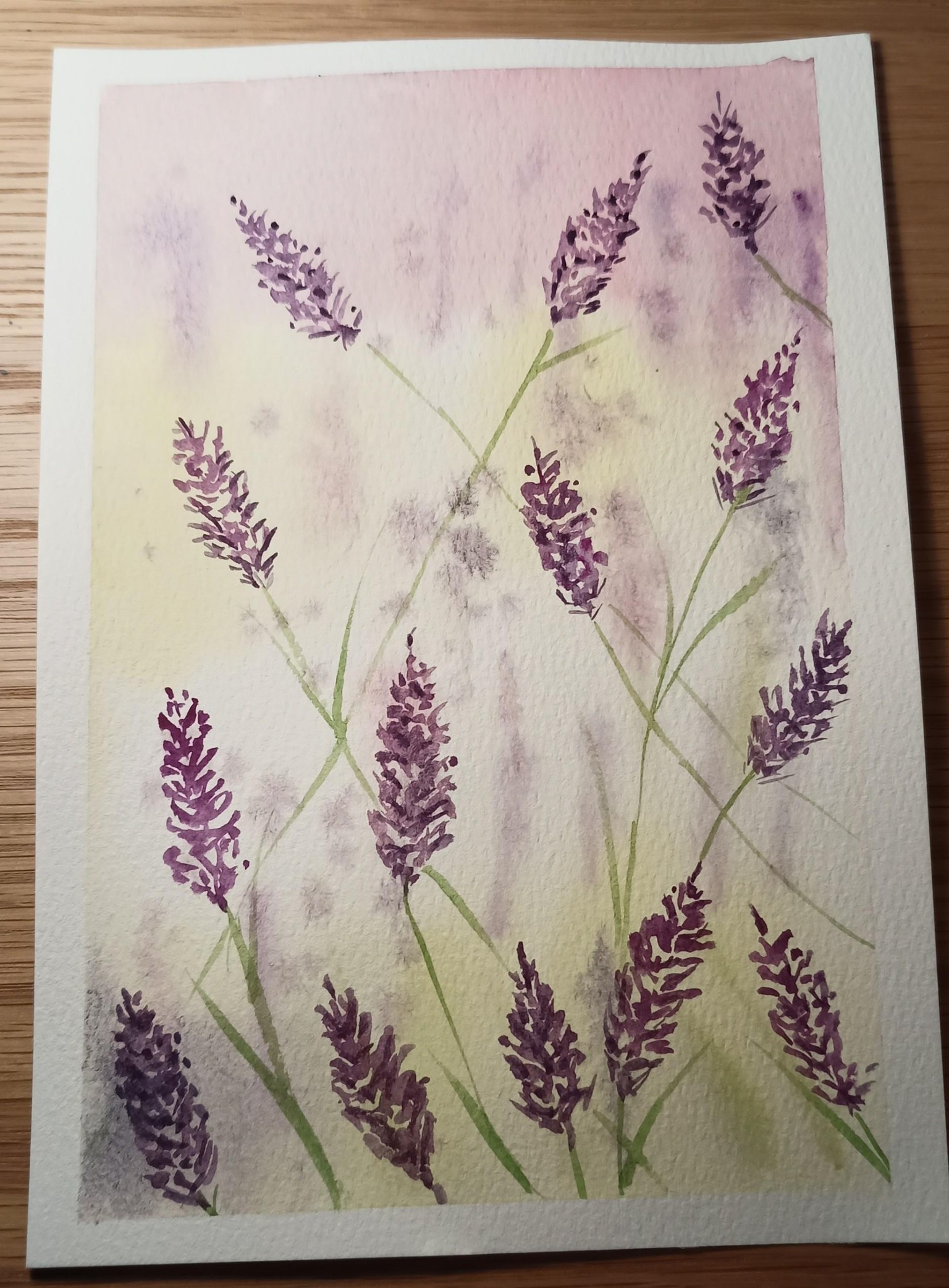 Meadows - image 2 - student project