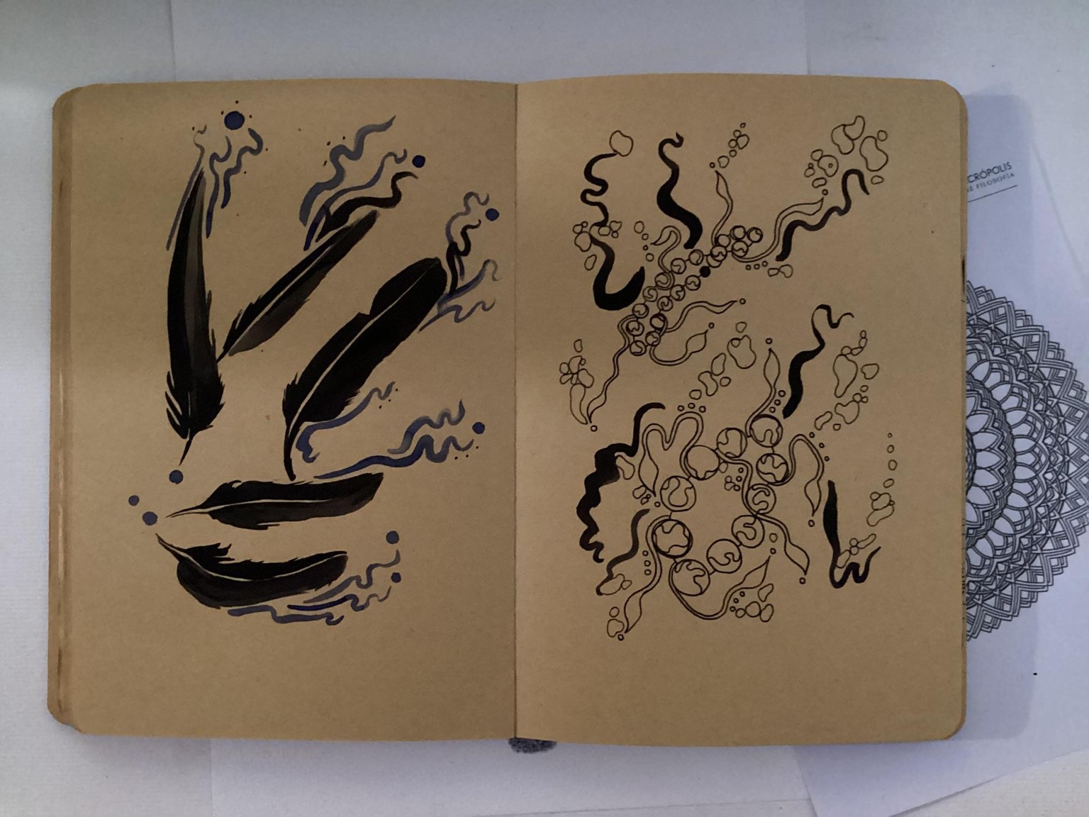 Air and Water - image 1 - student project