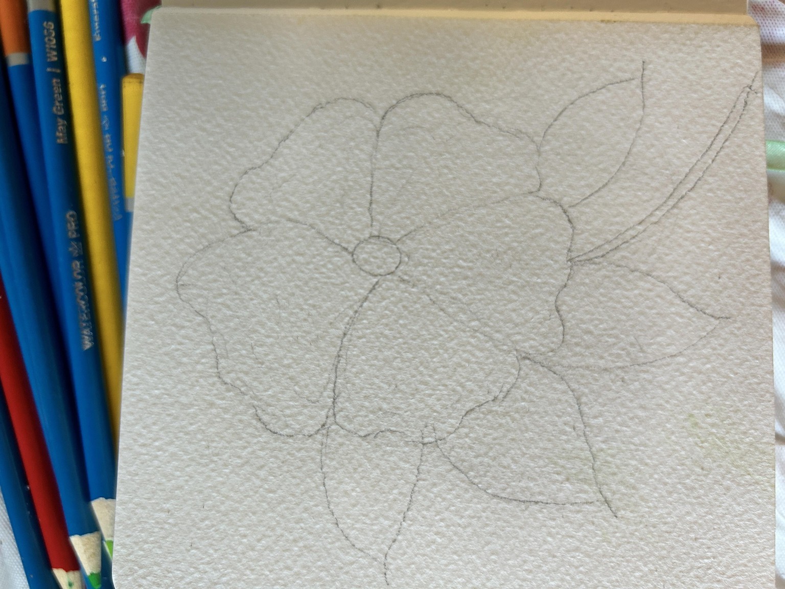 How to draw and paint flowers in water color and with hatching tecnique. - image 1 - student project