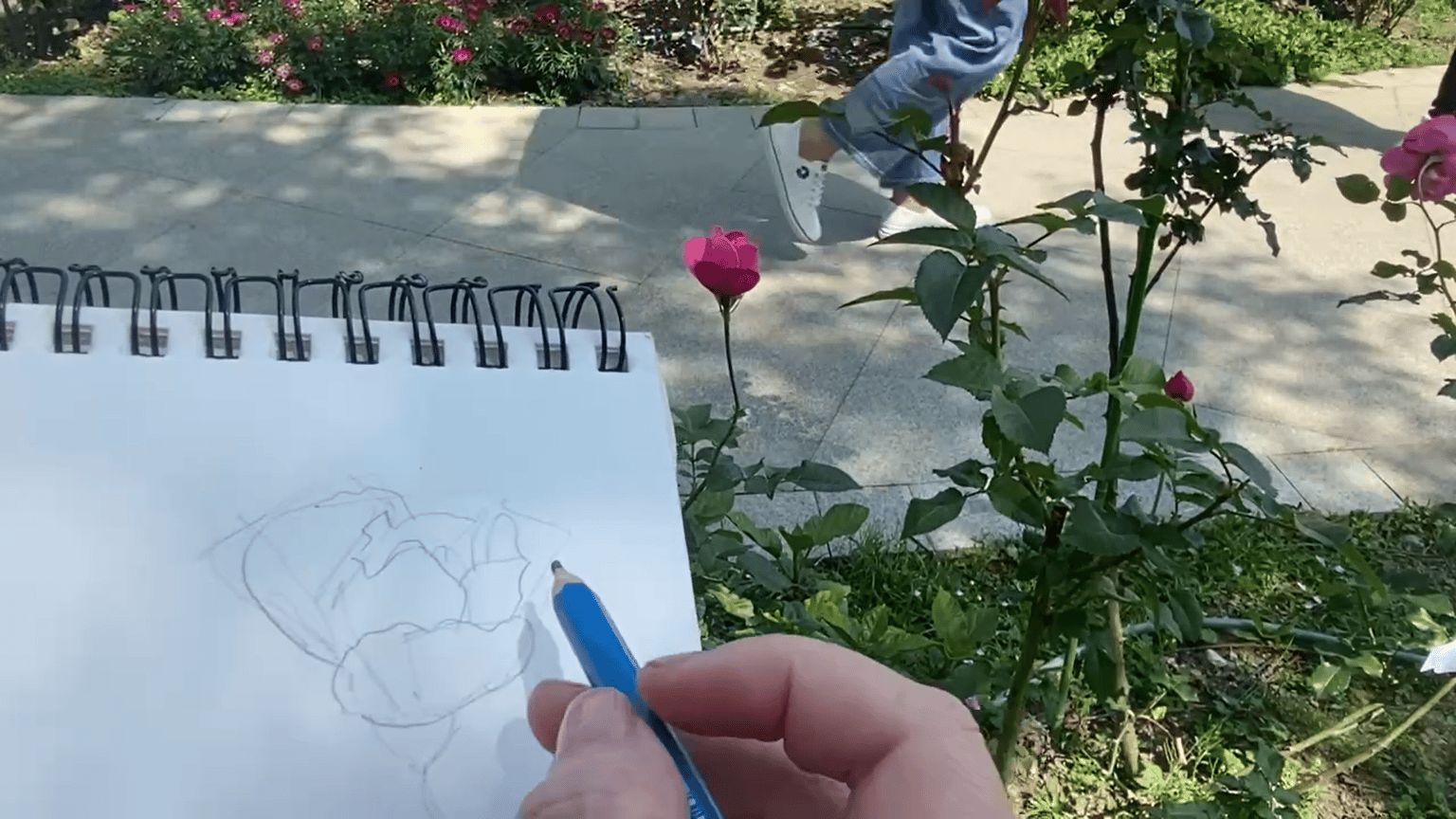 Draw a Rose From Life With This Simple Formula - image 4 - student project