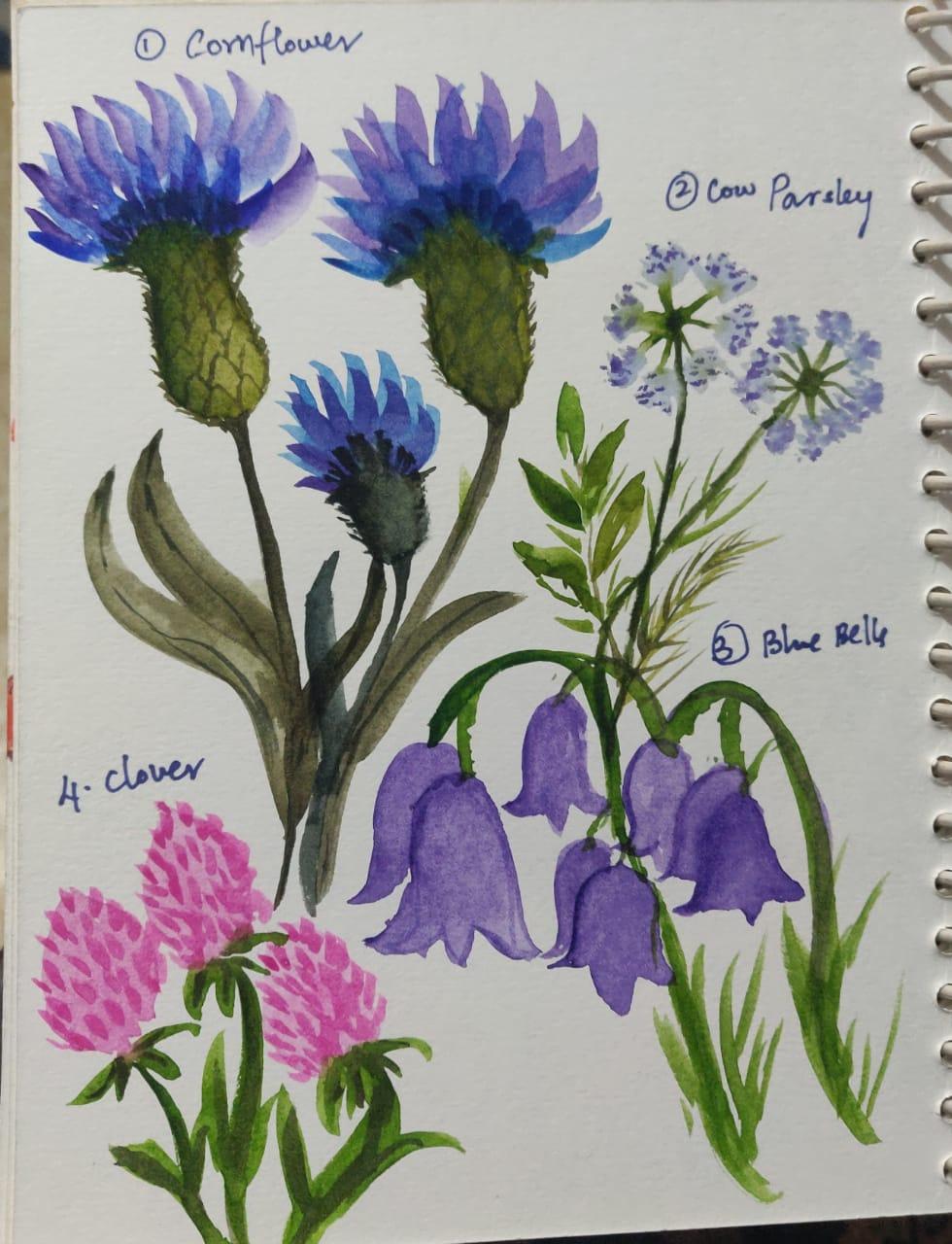 7-Day Wildflower Watercolour Challenge: Create a Stunning Poster - image 1 - student project